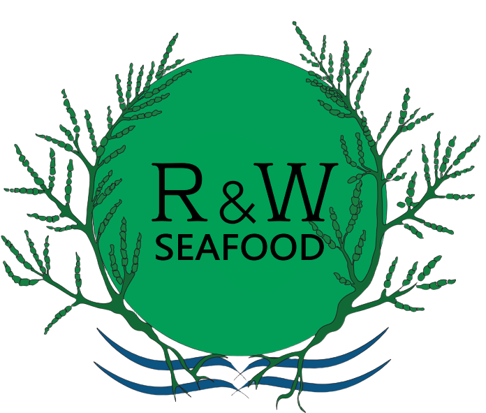 Verwijder de witte achtergrond rond het logo zodat het transparant wordt en één geheel vormt met de achtergrondkleur van de site.